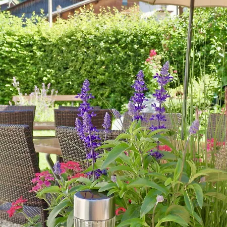 Viallet Hotel Areches